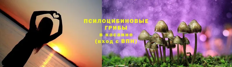 купить закладку  ОМГ ОМГ рабочий сайт  Псилоцибиновые грибы Cubensis  Куса 